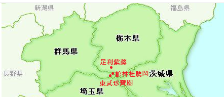 關東近郊 賞花 躑躅ケ岡館林つつじが岡公園 含巴士資訊 苒苒札記 痞客邦