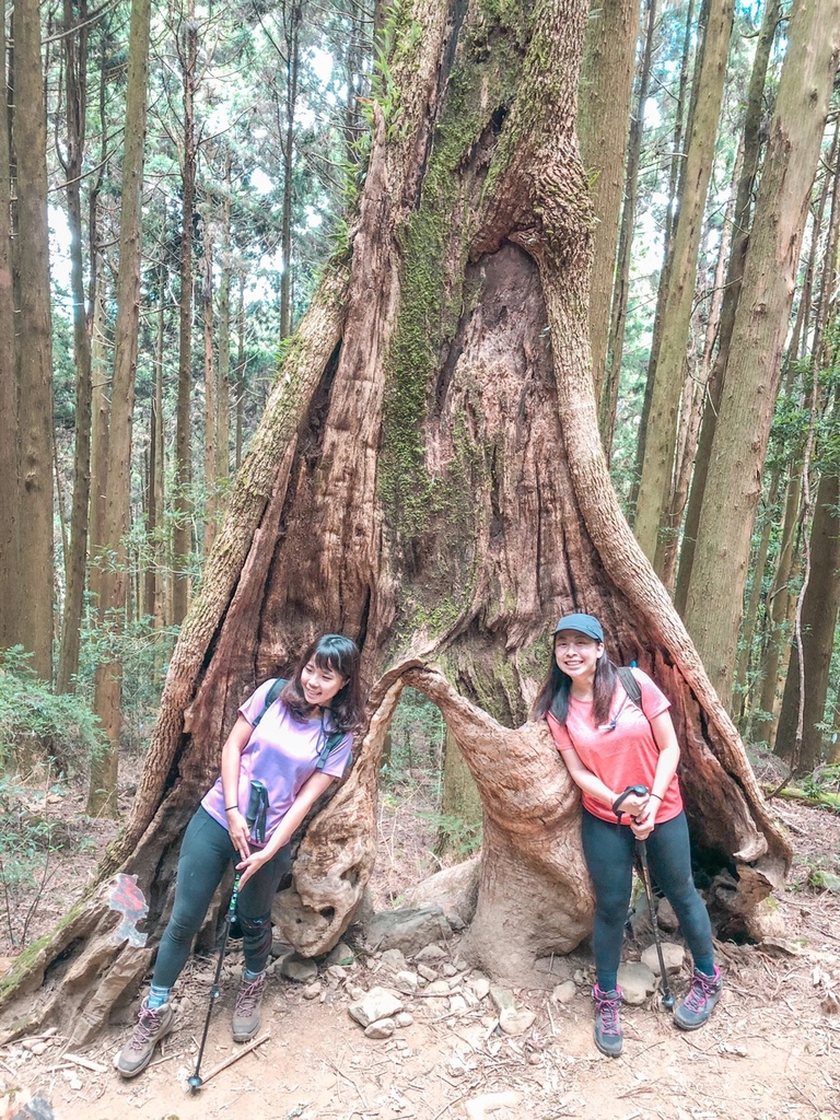 S__35594255.jpg S__35594255.jpg