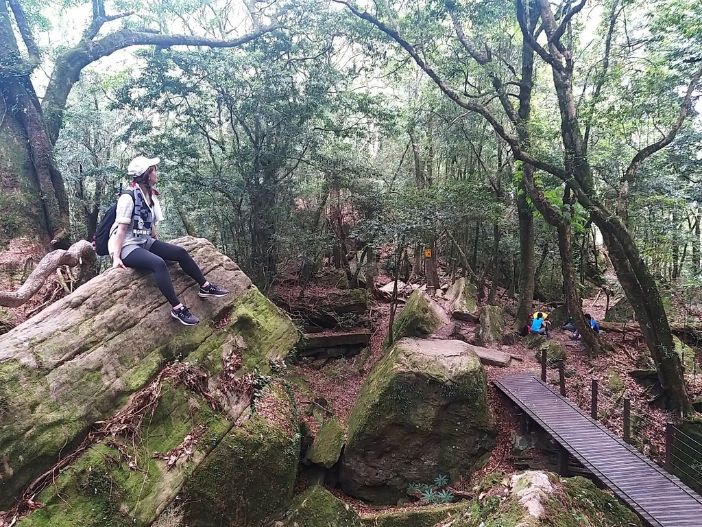 S__35594349.jpg S__35594349.jpg