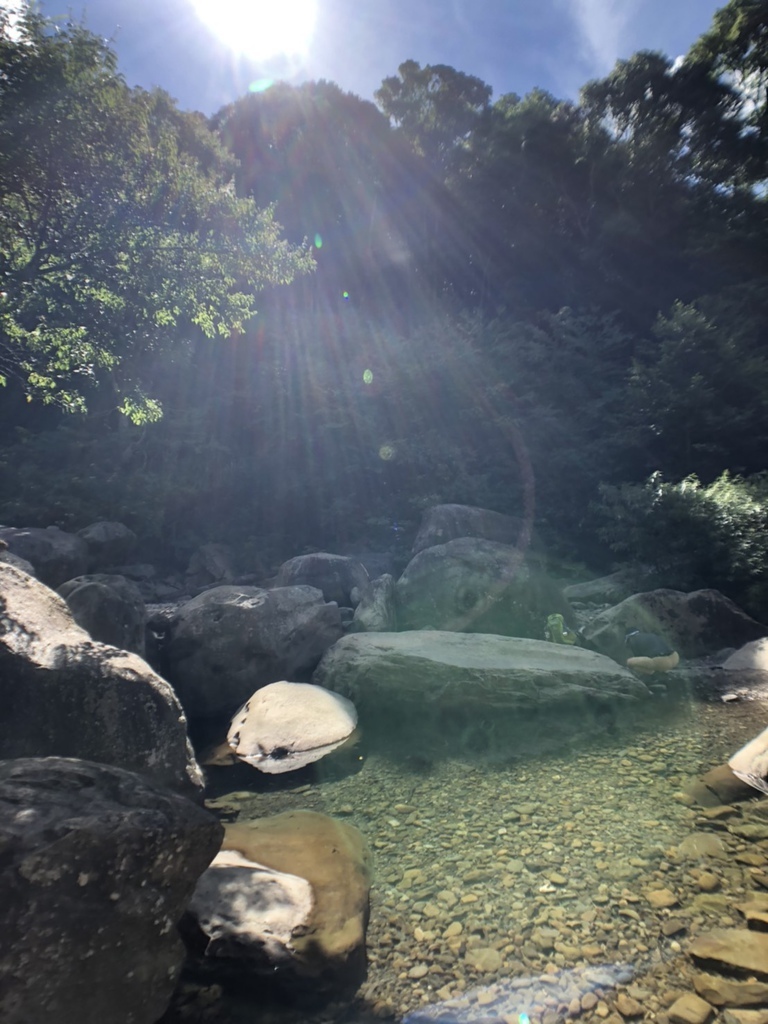 S__35594352.jpg S__35594352.jpg