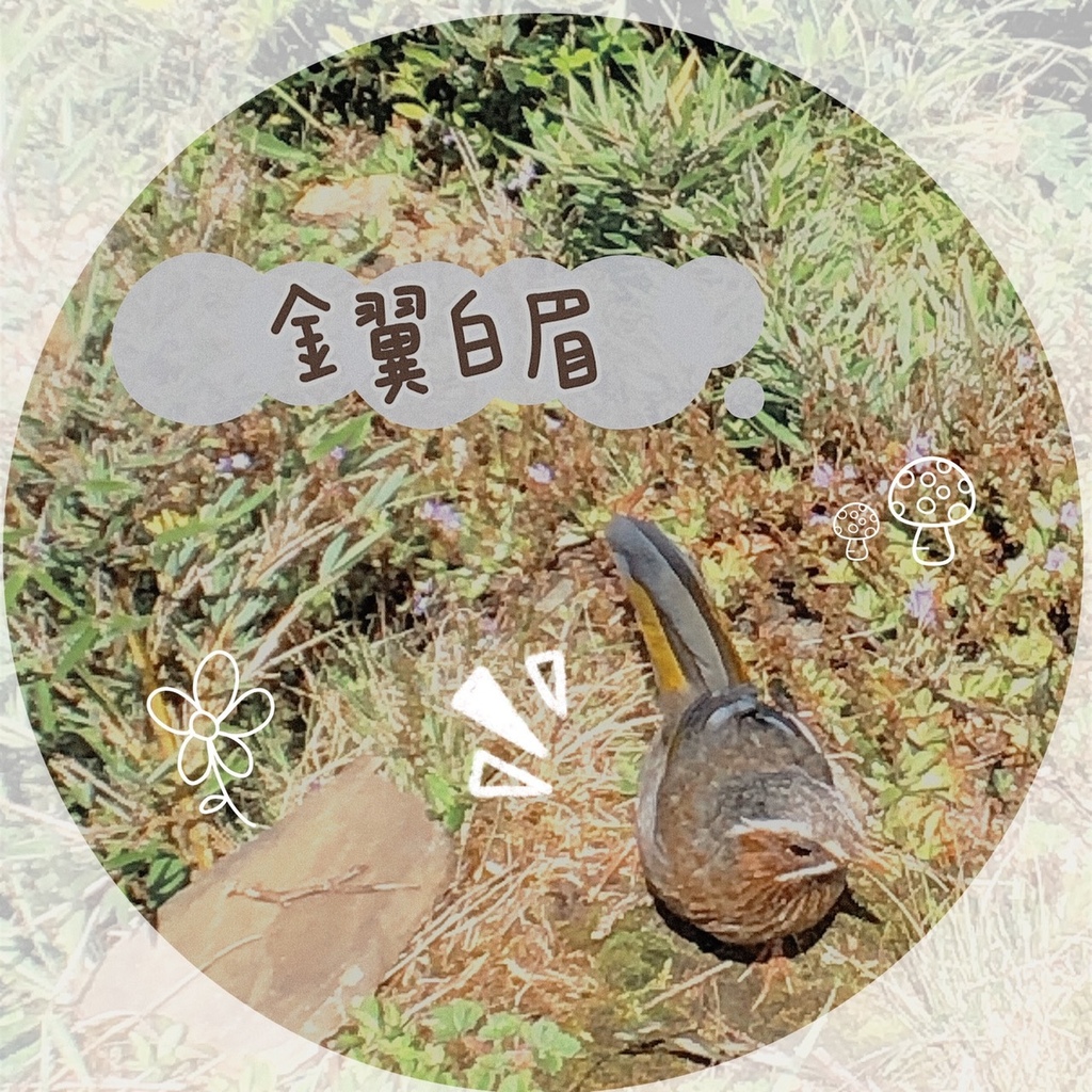 S__37601284.jpg S__37601284.jpg