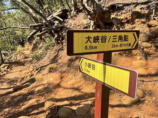 10FA88A4-7E37-4095-90DA-9AA958DDC3F5.jpg 10FA88A4-7E37-4095-90DA-9AA958DDC3F5.jpg