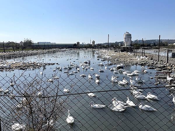 BDD08862-5C56-4C44-9EF2-22F709D6D995.jpg BDD08862-5C56-4C44-9EF2-22F709D6D995.jpg