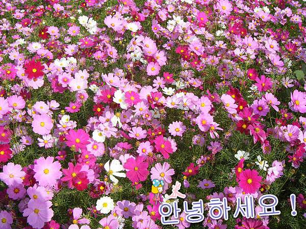 DSCF0744.JPG