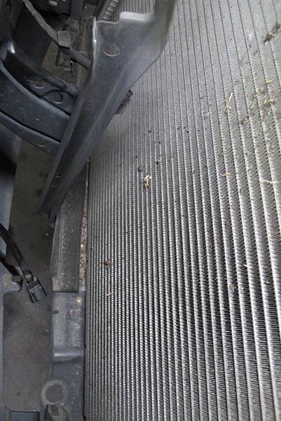 IMG_0308.JPG IMG_0308.JPG