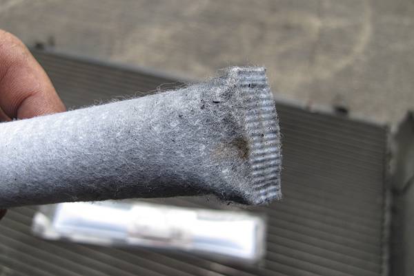 IMG_0310.JPG IMG_0310.JPG