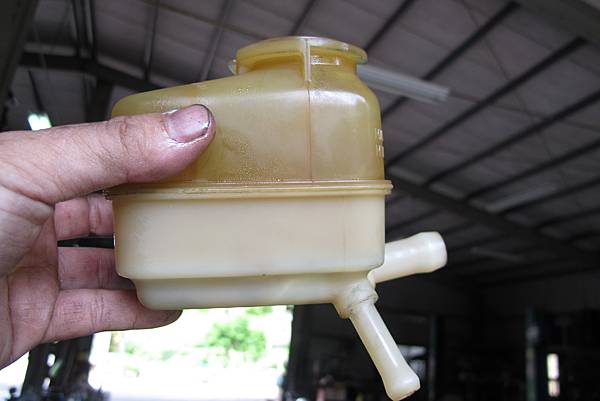 IMG_0313.JPG IMG_0313.JPG