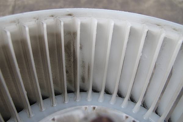 IMG_0325.JPG IMG_0325.JPG