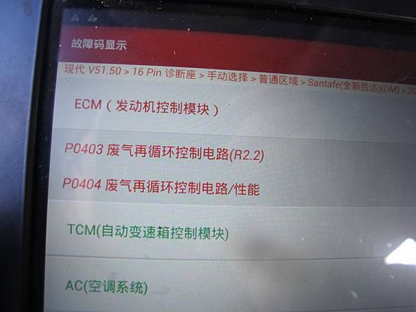 龜山華亞內~汽車修理廠~ 山土匪EGR