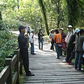 宜蘭旅遊~宜蘭租車~福山植物園