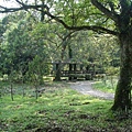 宜蘭旅遊~宜蘭租車~福山植物園