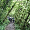 宜蘭旅遊~宜蘭租車~松羅國家步道~旅客剪影