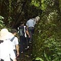 宜蘭旅遊~宜蘭租車~松羅國家步道~旅客剪影