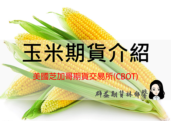 圖片2 圖片2