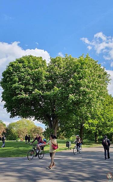 英國 倫敦 攝政公園3