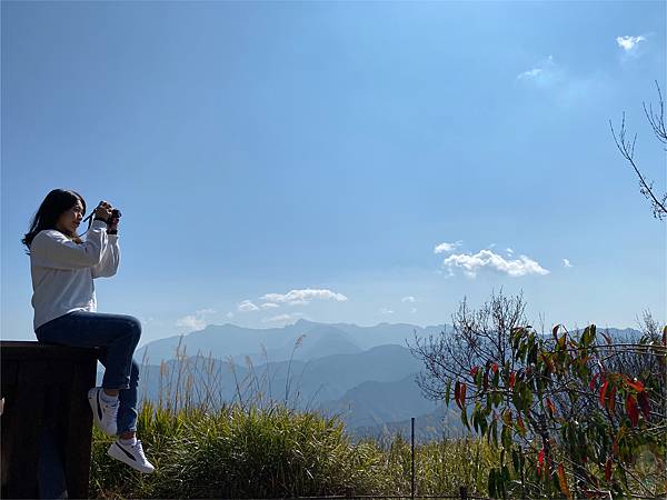 阿里山-小笠原觀景平台