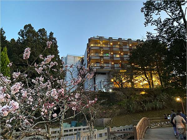 阿里山神木大飯店