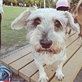 DSCN6536.JPG