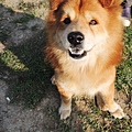 DSCN6378.JPG