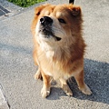 DSCN6380.JPG
