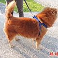 DSCN6386.JPG