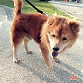 DSCN6387.JPG