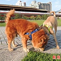 DSCN6389.JPG