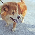 DSCN6390.JPG
