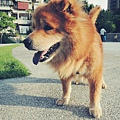 DSCN6392.JPG