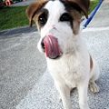 DSCN6398.JPG
