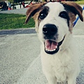 DSCN6399.JPG