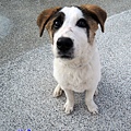 DSCN6405.JPG