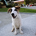 DSCN6407.JPG