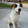DSCN6408.JPG