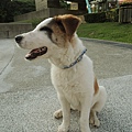 DSCN6409.JPG