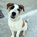 DSCN6416.JPG