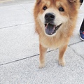 DSCN6423.JPG