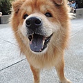 DSCN6425.JPG