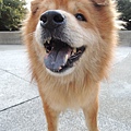 DSCN6426.JPG