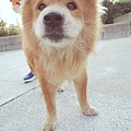 DSCN6430.JPG