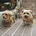DSCN6433.JPG