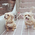 DSCN6435.JPG