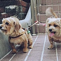 DSCN6436.JPG
