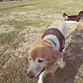 DSCN6454.JPG