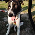 DSCN6459.JPG
