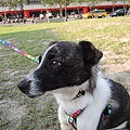 DSCN6463.JPG