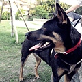 DSCN6470.JPG