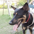DSCN6471.JPG