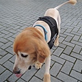 DSCN6485.JPG