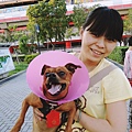 DSCN6500.JPG